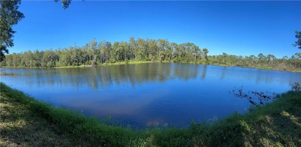 The lake behind the property through the bushes.