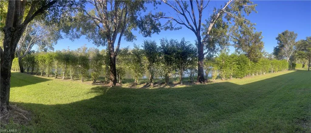 Backyard view, there is a lake right on the other side of the bushes, lots of visual privacy.