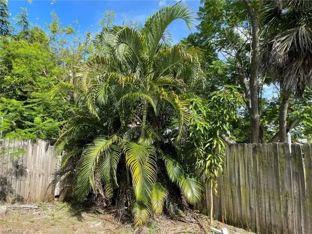 View of back yard