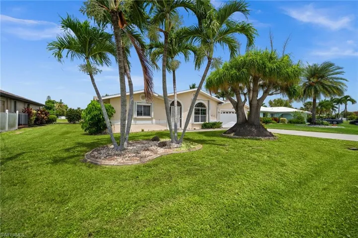 Lots of tropical landscaping