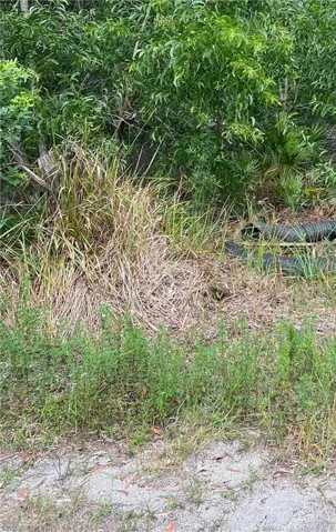 View of property from Martinique Way