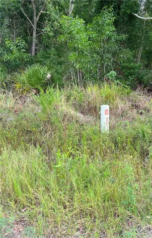 Corner of property