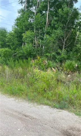 View of property from Howard Rd
