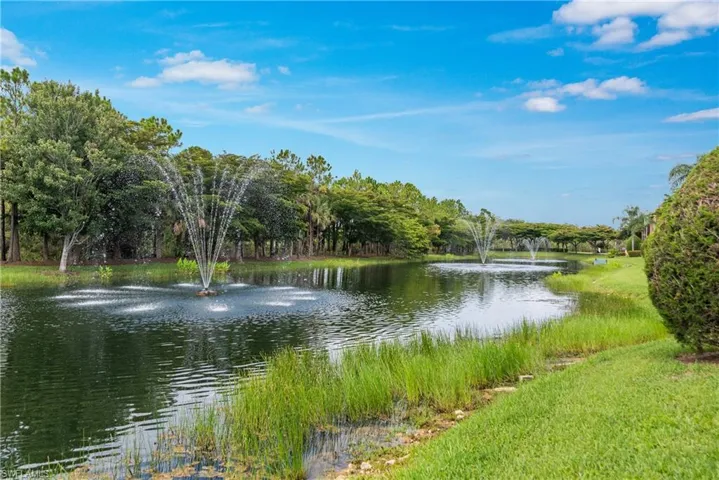 Peaceful lake and preserve view.