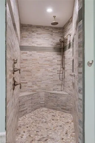 Primary bath Walk-in shower