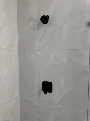 Details with tiled shower