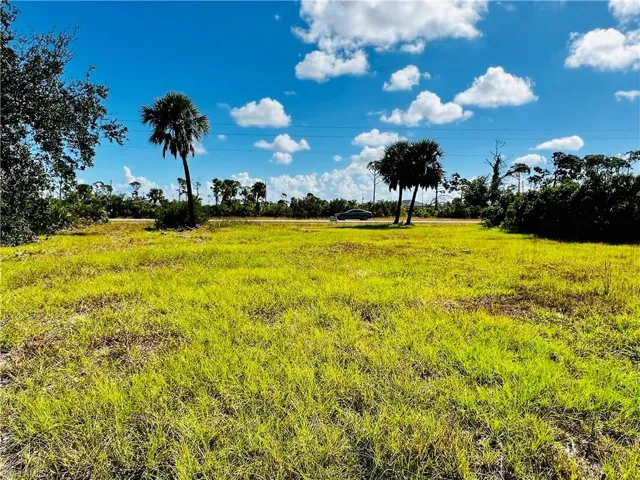 Picture of lot from back of property toward the road.