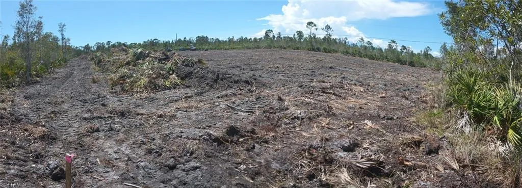 View of local wilderness featuring rural landscape