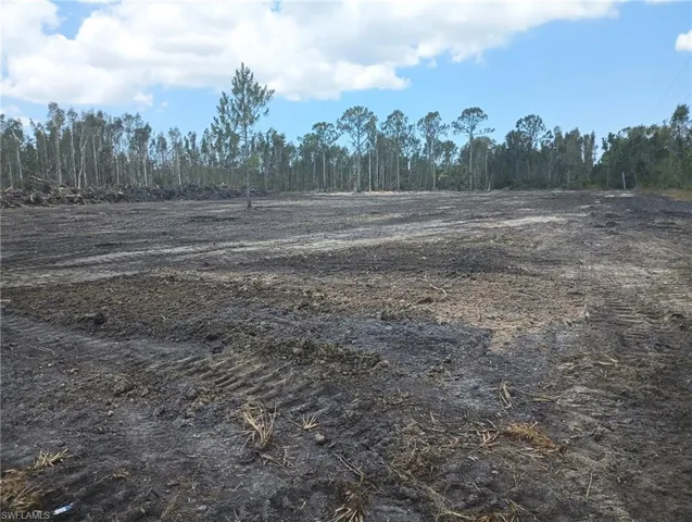 View of undeveloped land