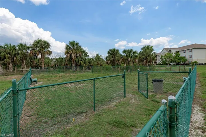 Dog Park