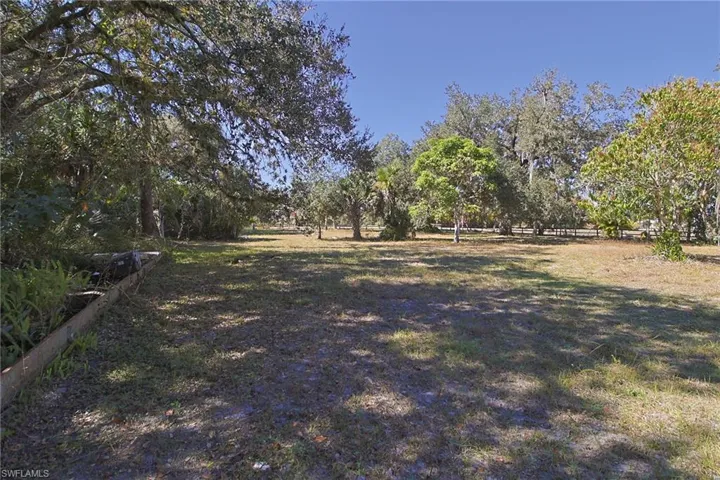 Expansive undeveloped lot featuring mature trees and open clearings