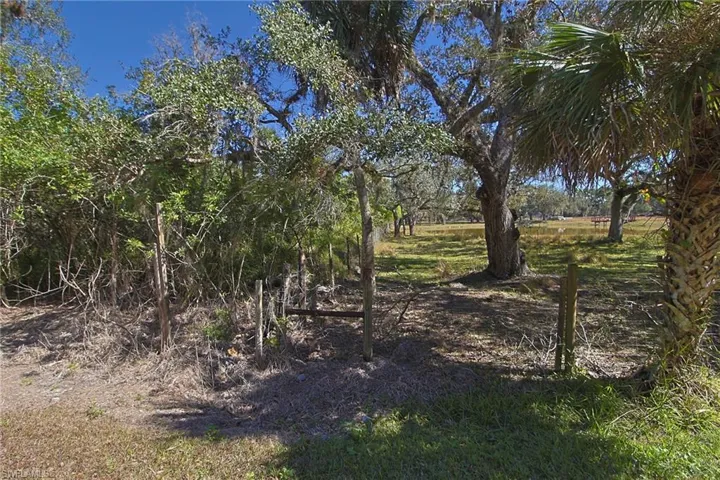 2971 Styles Rd, Alva, Florida 33920