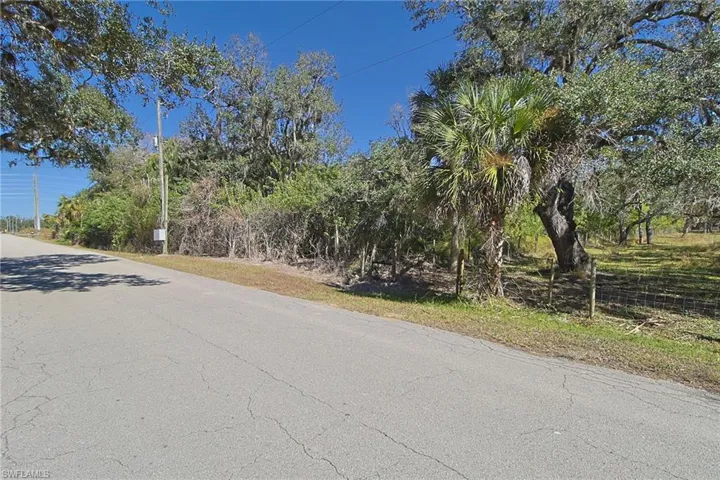 Expansive undeveloped land featuring mature trees and natural vegetation