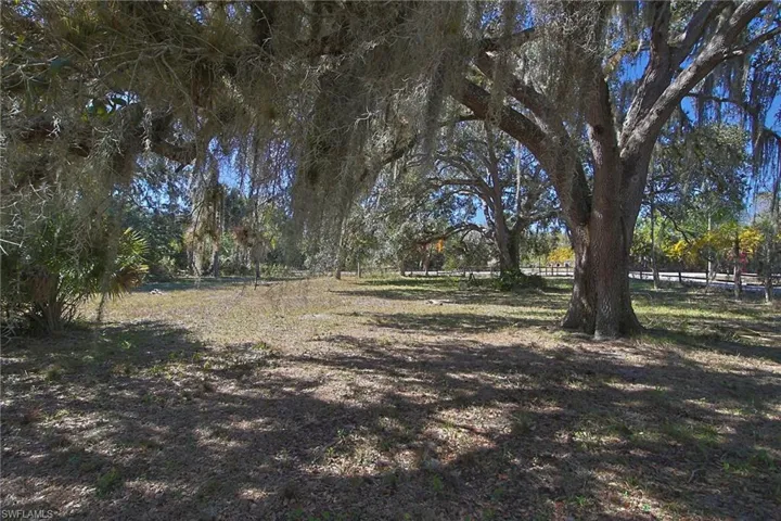 Expansive lot featuring mature oak trees draped with Spanish moss, substantial natural ground cover, and partial perimeter fencing