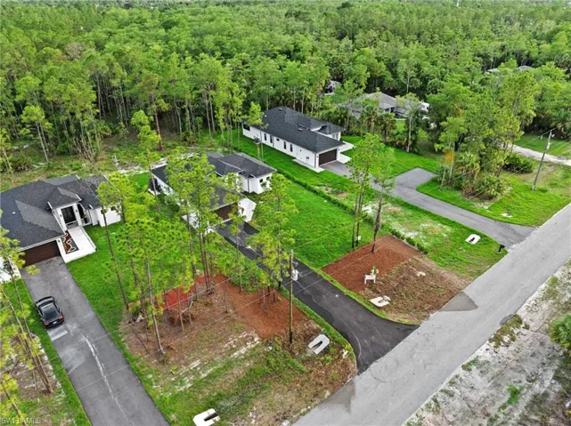 Drone / aerial view of a forest