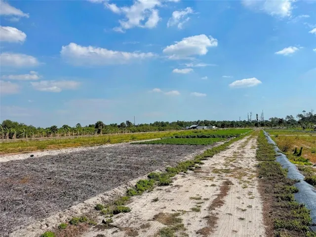 2521  Christopher  LN, Clewiston, FL 33440
