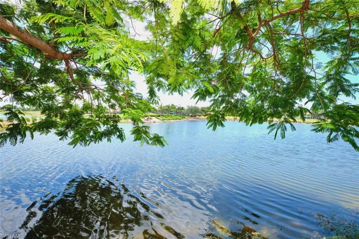 Water view