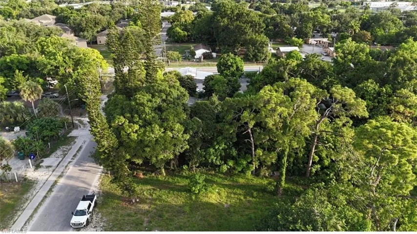 Expansive treed lot featuring mature foliage and direct road frontage