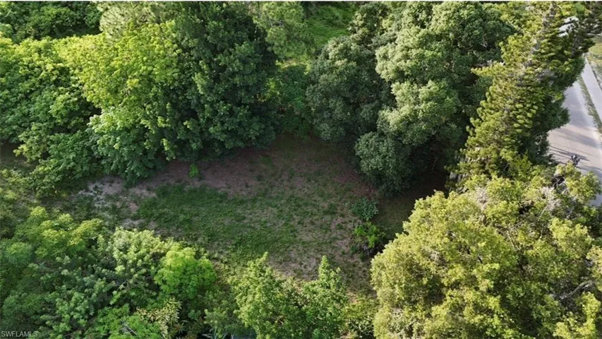 Cleared land area surrounded by dense green foliage