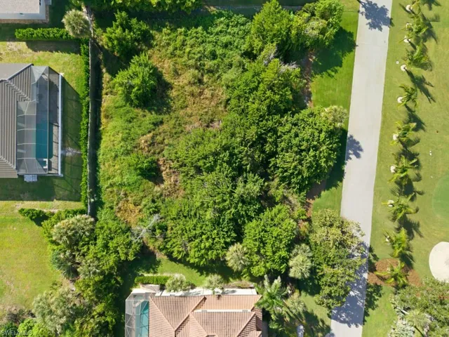 Expansive residential lot featuring mature trees, native landscaping, and frontage along a paved thoroughfare