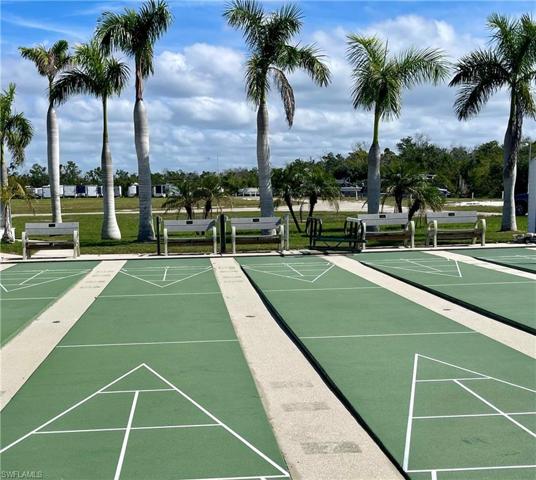ready for shuffleboard?
