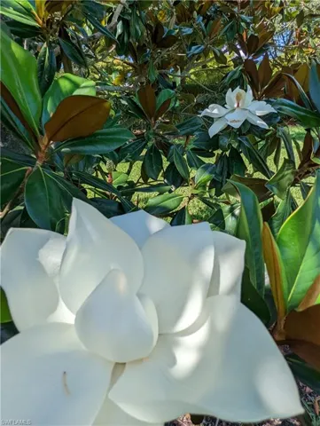 Enjoy Exotic Flowers & Wildlife