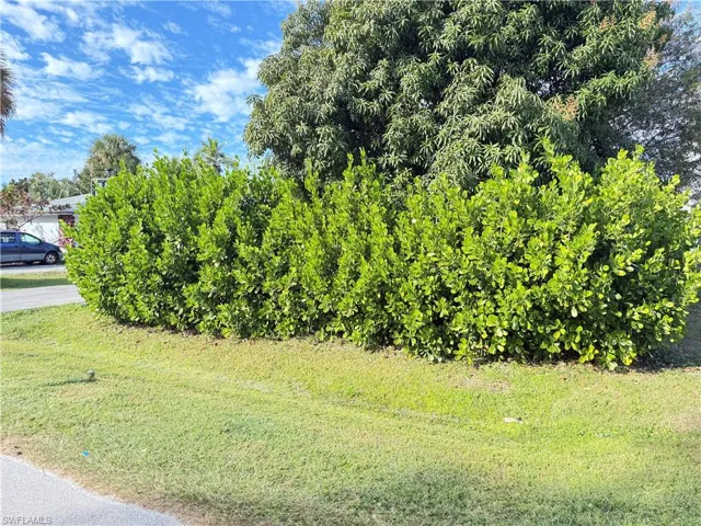 View of grassy yard