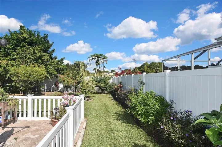 Papaya, starfruit, custard apple...and the added benefit of viewing the neighbor's stunning bougainvillea over the fence!