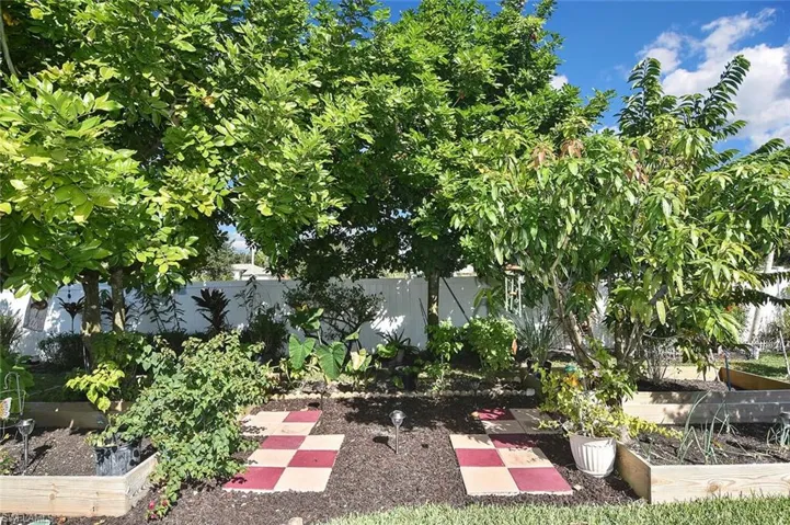 Another view, with twin verdant and plentiful ackee trees
