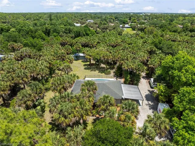 Secluded property surrounded by extensive natural foliage, including numerous palm trees and mature green trees