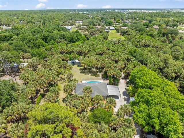 Aerial overview of a property surrounded by abundant mature trees and palm foliage