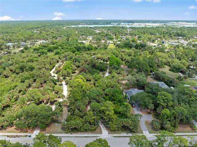 Expansive wooded property featuring a meandering gravel drive, mature trees, and natural landscaping