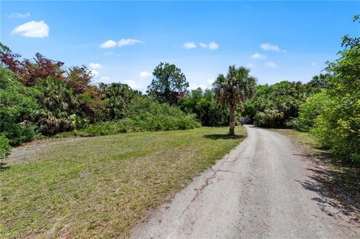 Expansive lot featuring a natural landscape and an unpaved driveway