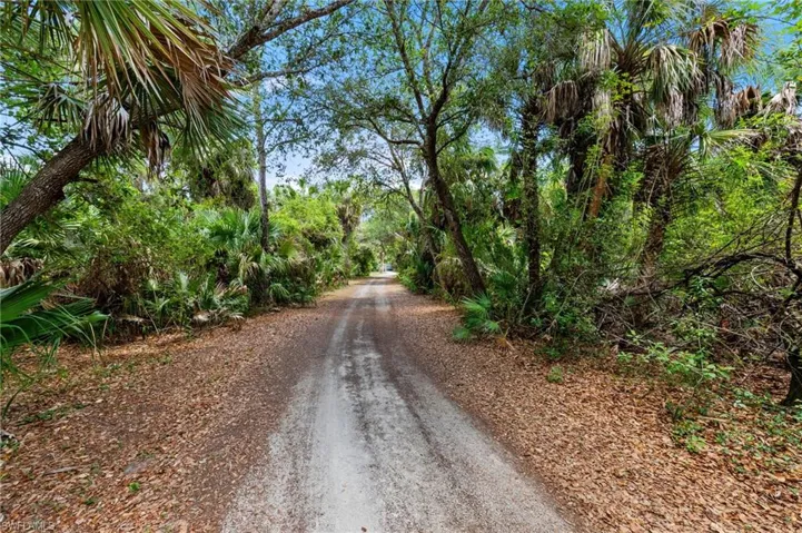 Gravel pathway bordered by mature trees and lush vegetation