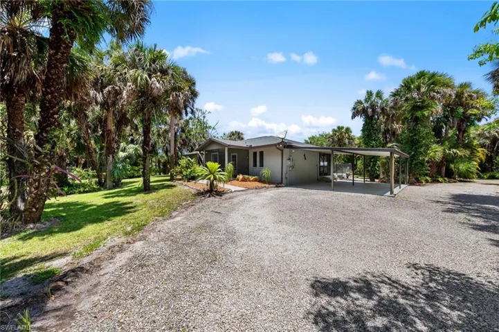 Single-story residence featuring a carport, gravel driveway, and a natural landscape with mature palm trees