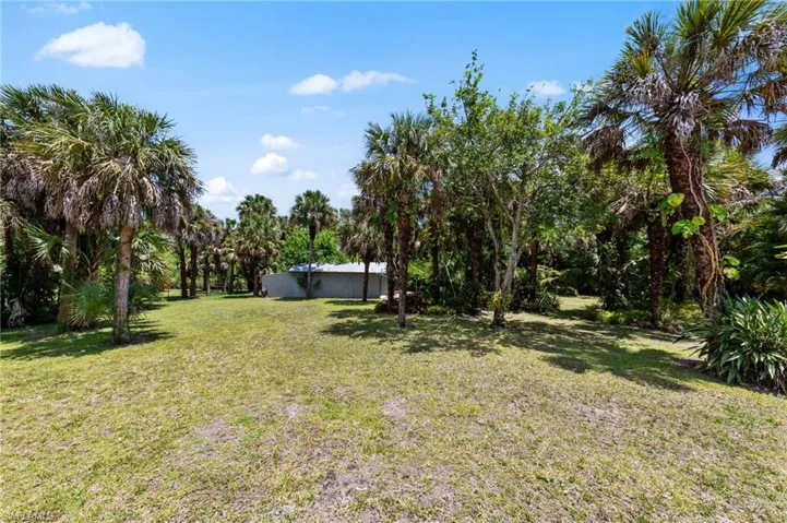 Expansive lot featuring a large lawn and numerous mature palm trees