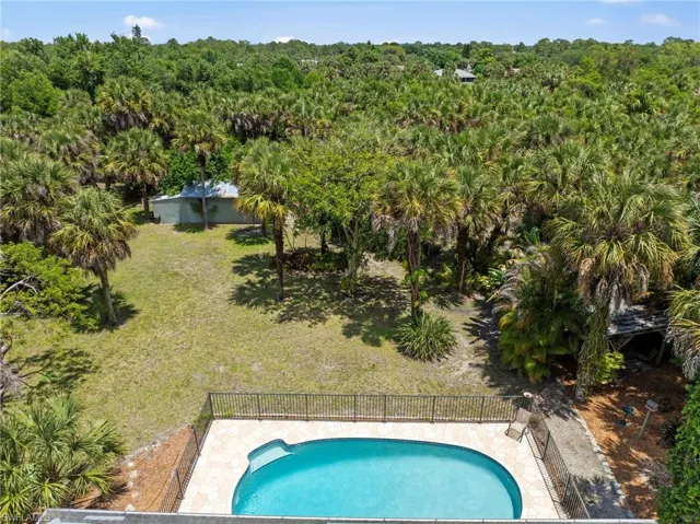 Fenced swimming pool with a stone paver deck, surrounded by mature palm trees and lush green foliage