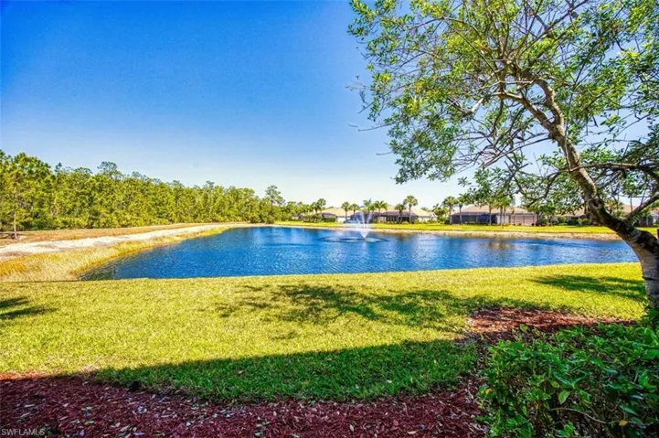 Water view