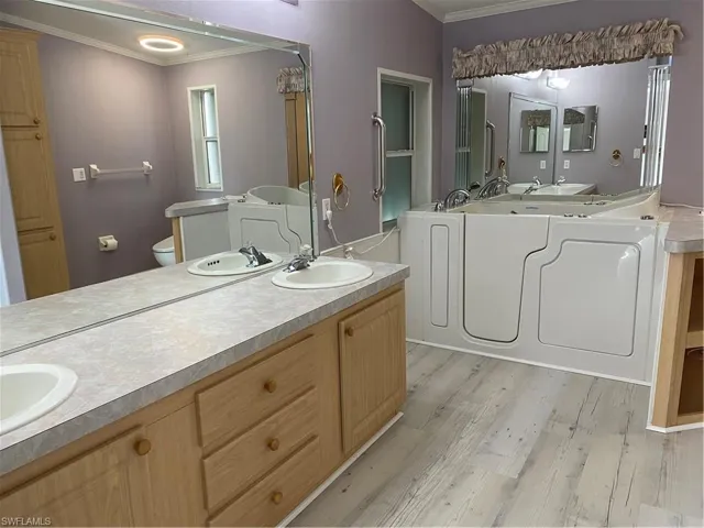 Master Bath with Walk-In Tub