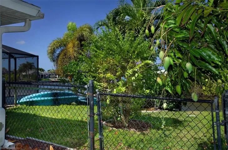 Fenced in back yard