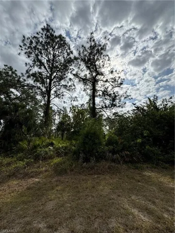 804 Wellington Ave, Lehigh Acres Fl 33972