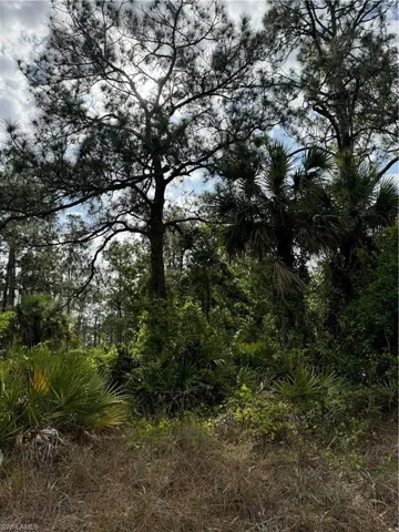 804 Wellington Ave, Lehigh Acres Fl 33972
