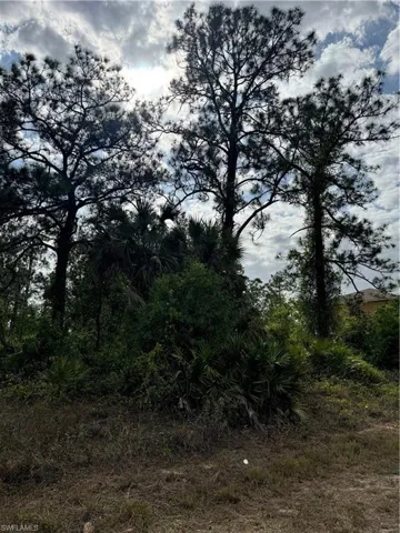 804 Wellington Ave, Lehigh Acres Fl 33972