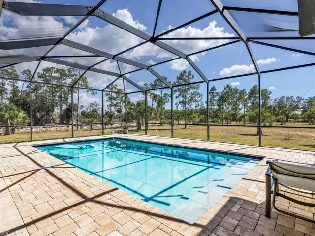 Swimming pool with complete privacy looking at the preserve.