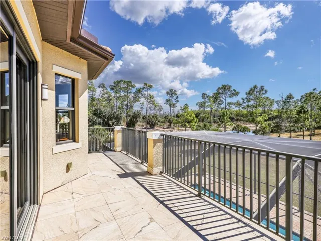 View of preserve from balcony.