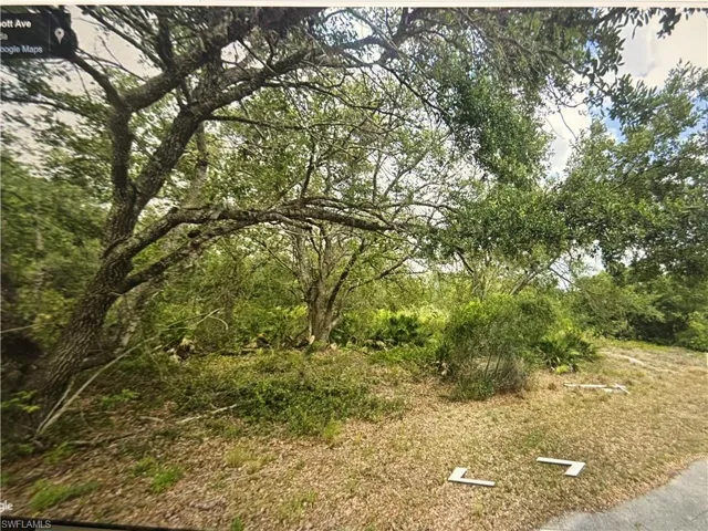 View of undeveloped land