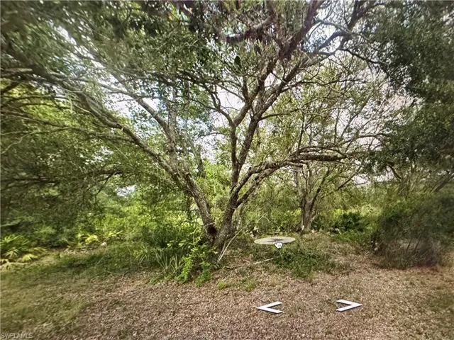 View of wooded area