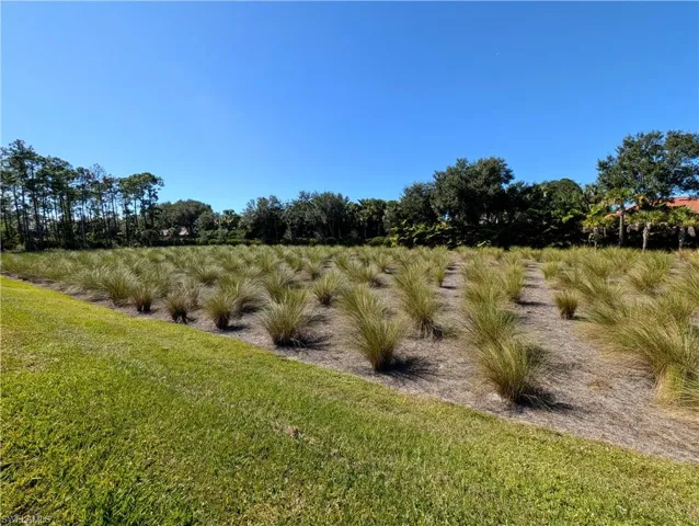 Spacious backyard with View of preserve