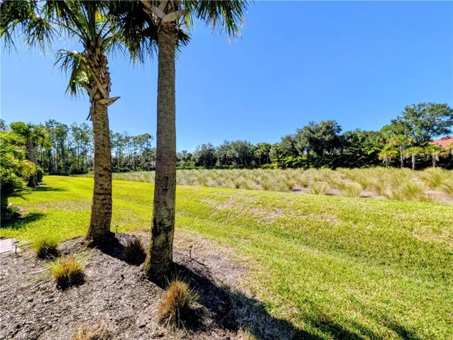 Spacious backyard with View of preserve