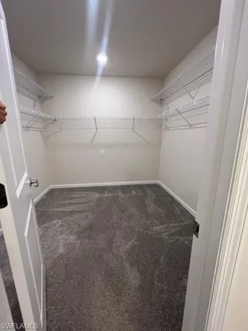 Walk in closet featuring carpet flooring